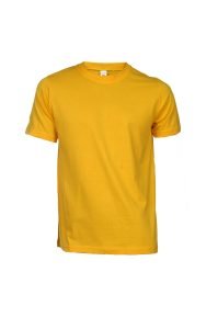 T-shirt Erkek Ucuz Modeller